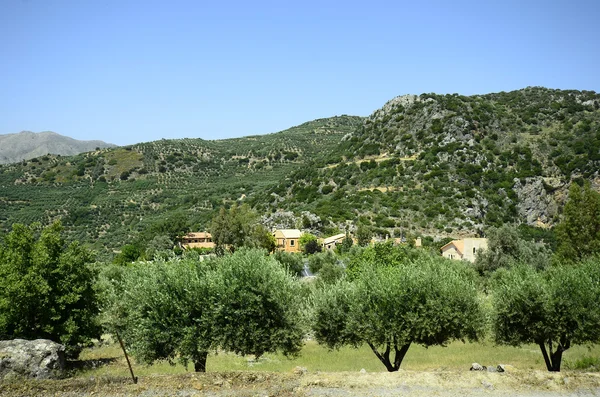 Görögország, Crete — Stock Fotó