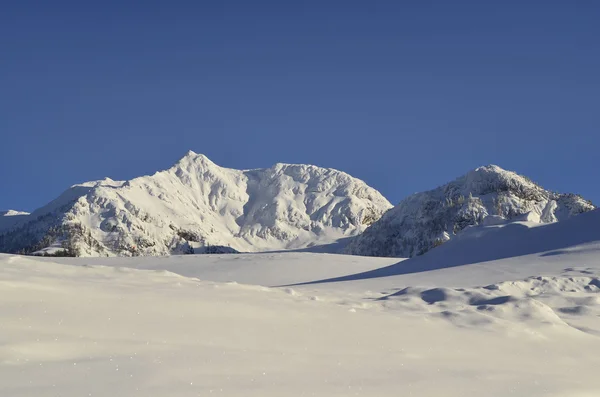 Avusturya, Tirol — Stok fotoğraf