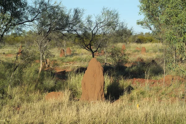 Australie, Territoire du Nord — Photo