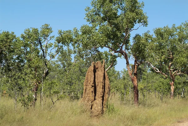 Australia, Northern Territory — Stock Photo, Image