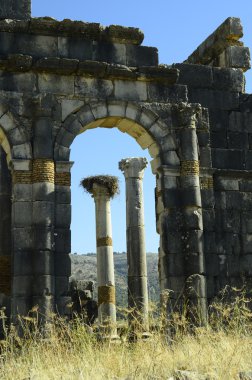 Fas, Volubilis