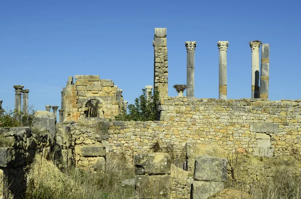 Maroko, Volubilis — Zdjęcie stockowe