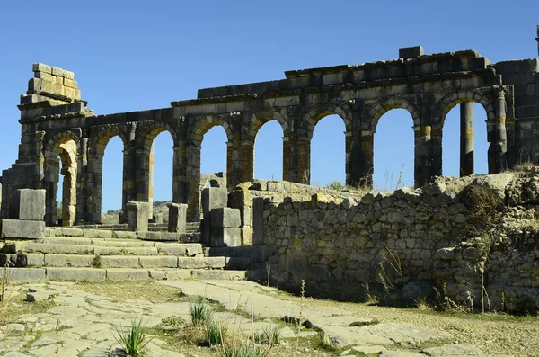 Marokko, volubilis — Stockfoto