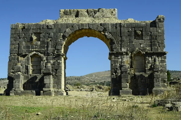 MarrocoVolubilis , — Fotografia de Stock