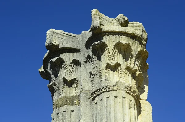 MarocVolubilis , — Photo