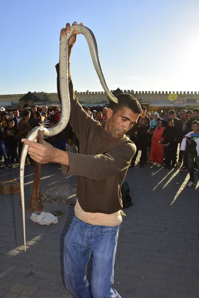 Morocco, Meknes — Stock Photo, Image