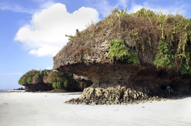 Afrika, Kenya