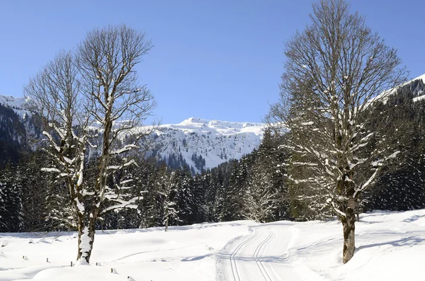 Autriche, hiver — Photo