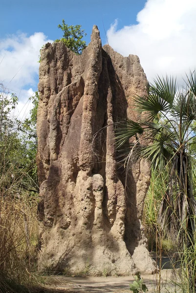 Australia, Territorio del Norte — Foto de Stock