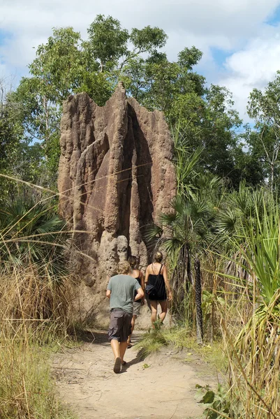 Litchfield park, Australië — Stockfoto