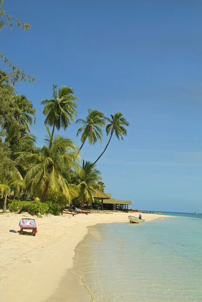 Isla de Fiji —  Fotos de Stock