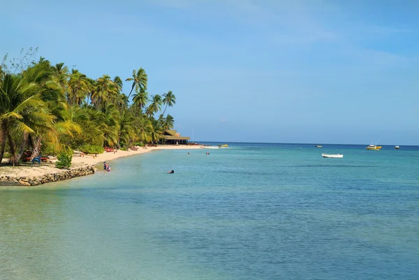 Isla de Fiji —  Fotos de Stock