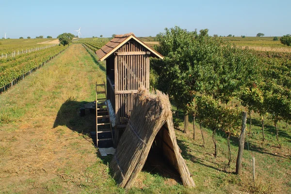 오스트리아, burgenland — 스톡 사진