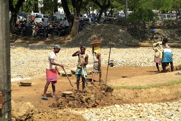 インド、アッサム州, — ストック写真