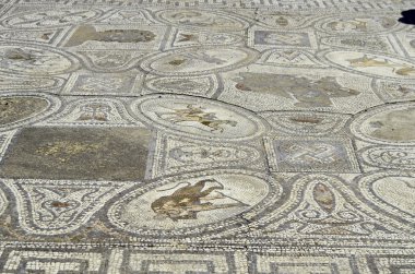 Fas, Volubilis