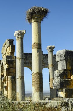 Fas, Volubilis