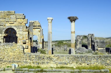 Fas, Volubilis