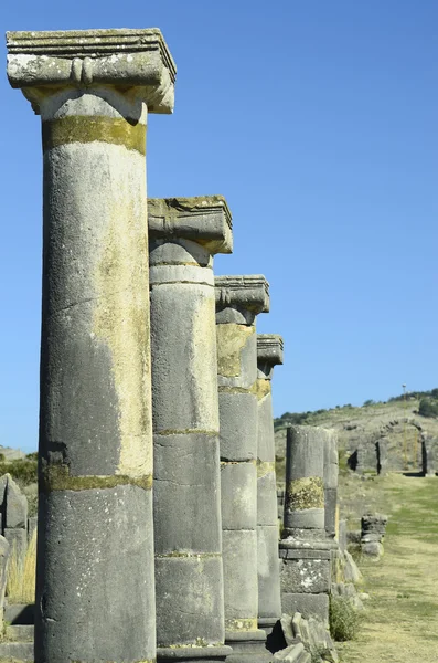 Fas, Volubilis — Stok fotoğraf