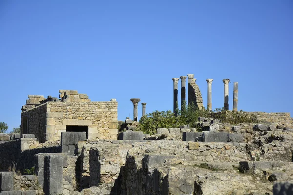 Maroko, Volubilis — Zdjęcie stockowe