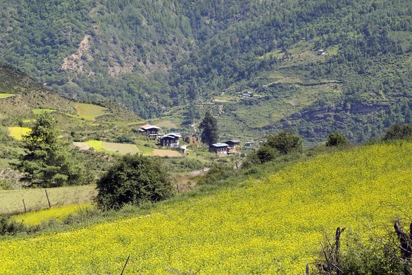 Bhutan, Haa, 1545 — Stockfoto