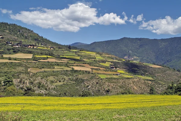 Bhutan, Haa, 1541 — Stockfoto