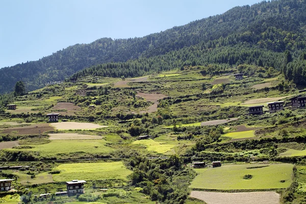 Bhutan, Haa, 1537 — Stockfoto