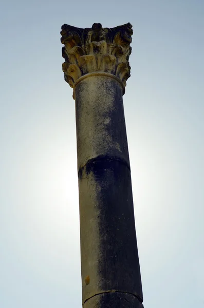 Maroko, Volubilis — Stock fotografie