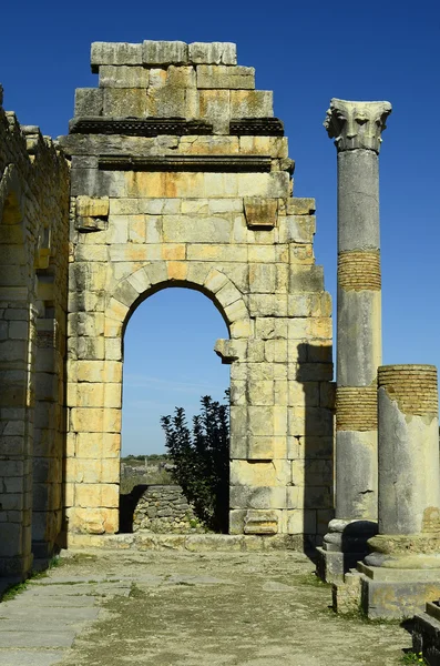 Maroko, Volubilis — Zdjęcie stockowe