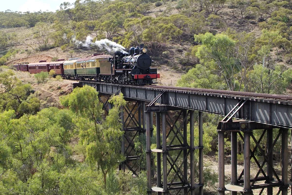 Australien, pichi richi järnväg — Stockfoto