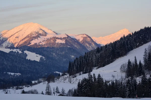 Oostenrijk, winter — Stockfoto