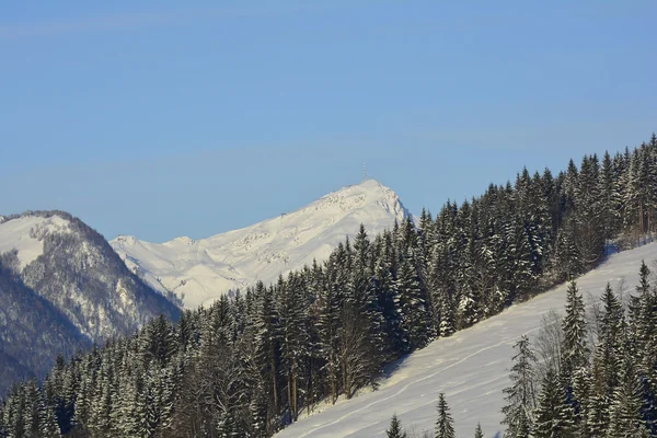 Oostenrijk, winter — Stockfoto