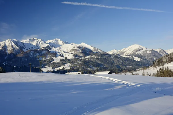 Oostenrijk, winter — Stockfoto