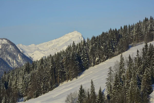 Oostenrijk, winter — Stockfoto