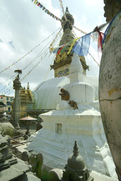 ネパール — ストック写真