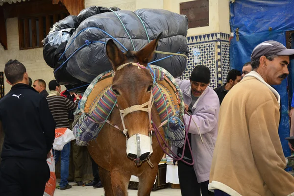 Marruecos, Fez — Foto de Stock