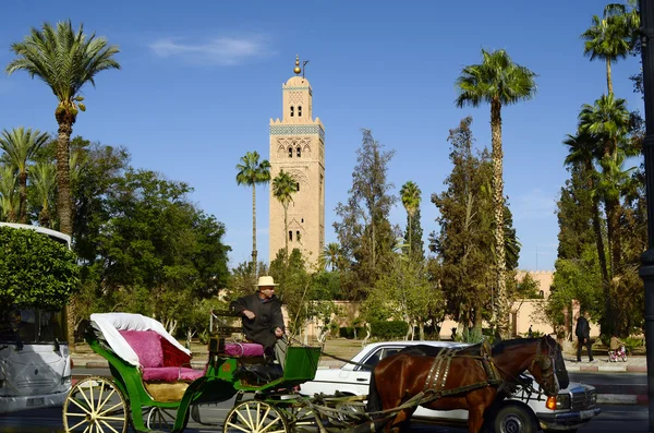 Marocko, Marrakech — Stockfoto