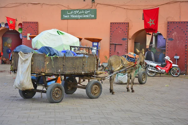 Maroko, Marrakesz — Zdjęcie stockowe