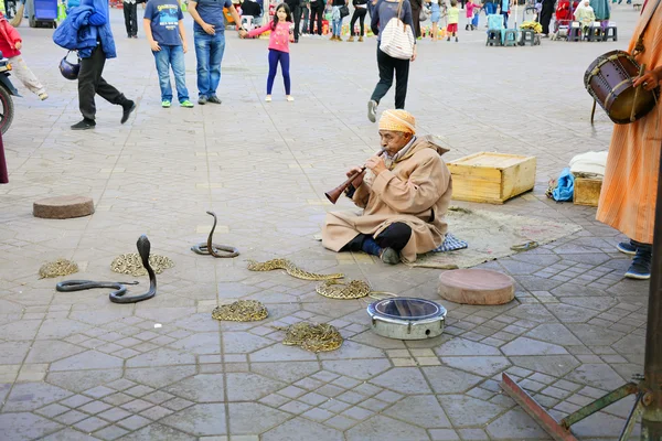 Morocco, Marrakesh, — Stock Photo, Image