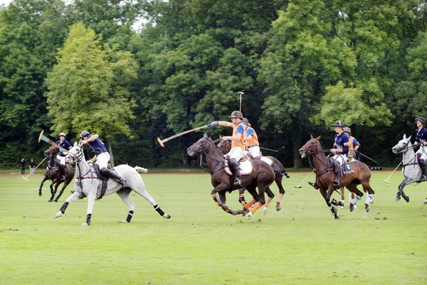 Desporto de pólo — Fotografia de Stock