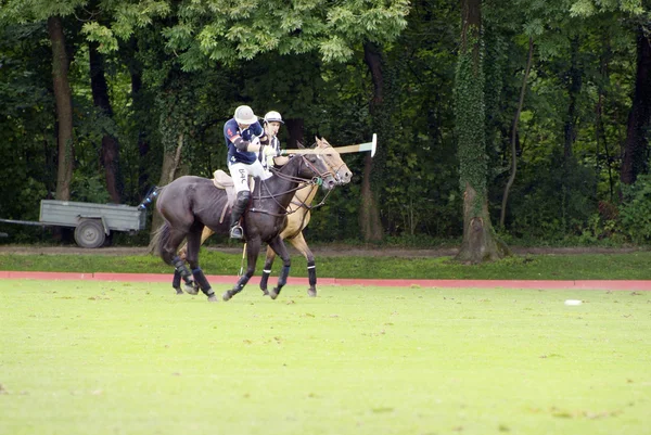 Polo-Sport — Stockfoto