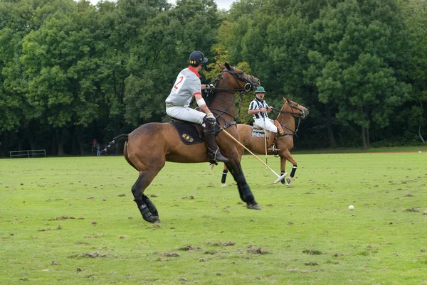 Sport, Polo — Foto Stock