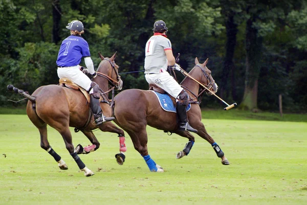 Desporto de pólo — Fotografia de Stock