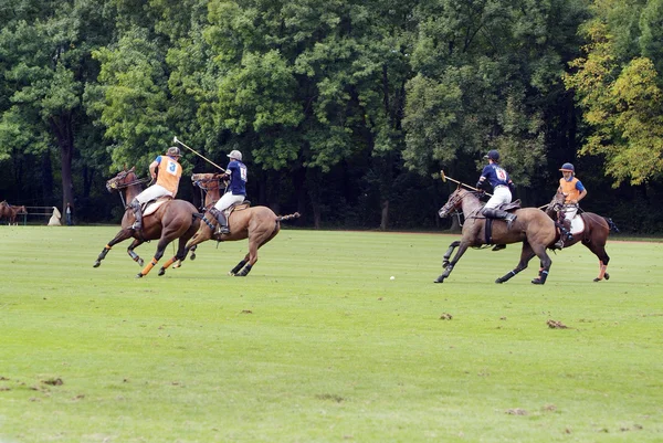 Polo Sport — Stock Photo, Image