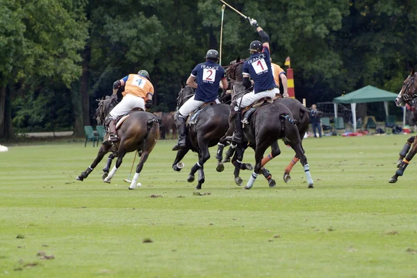 Polo-Sport — Stockfoto