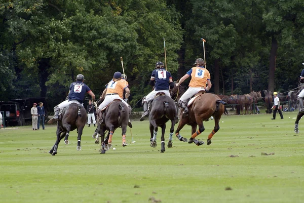 Polo-Sport — Stockfoto