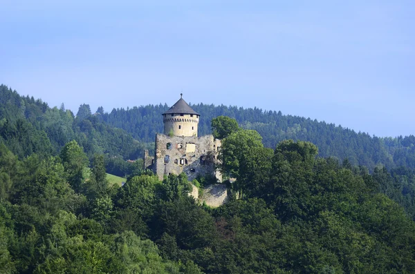 Austria, Castello — Foto Stock