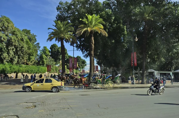 Marocco, Marrakech — Foto Stock