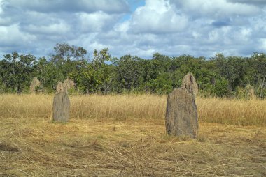 Avustralya, Kuzey toprakları