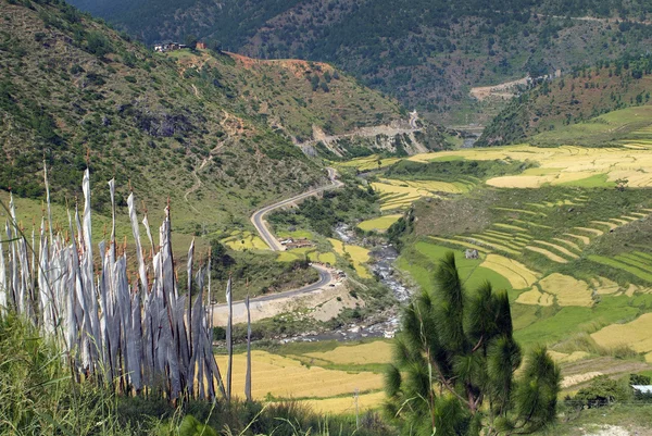 Bhutan, Punakha — Stock Photo, Image