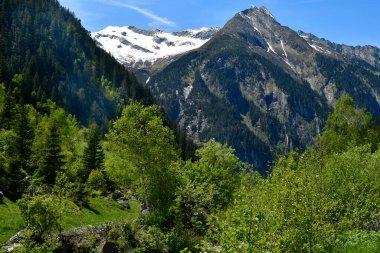 Mayrhofen, Avusturya - Stillup Vadisi 'nde küçük bir dağ deresi ve Avusturya Alpleri' nin karla kaplı zirveleriyle manzara